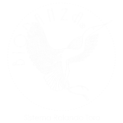 Biodanza · Sistema Rolando Toro